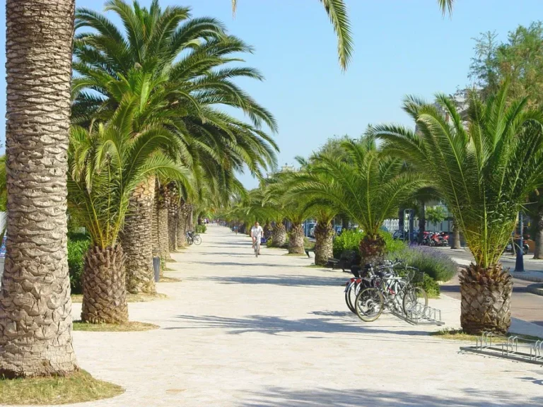 traslochi a san benedetto del tronto